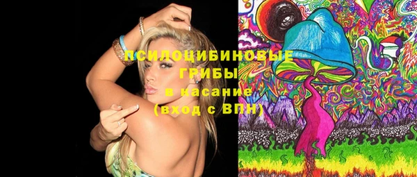 бошки Абинск