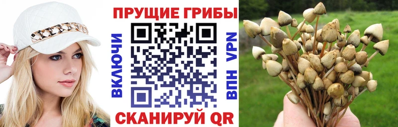 Галлюциногенные грибы ЛСД  Агидель 